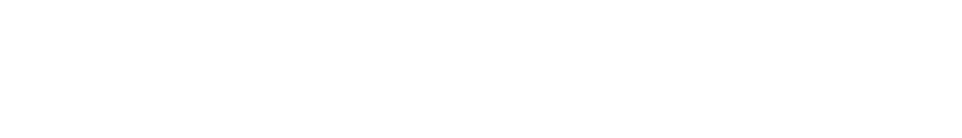 Leadzolo